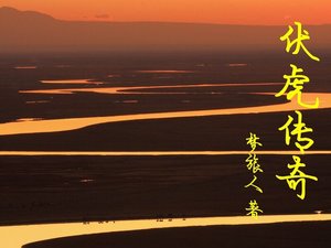 伏虎传奇
