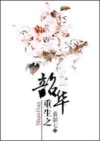 重生之韶華