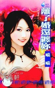 离了婚还缠你(美丽坏女人之一)