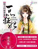 一品狂妃:暖王的修罗妻
