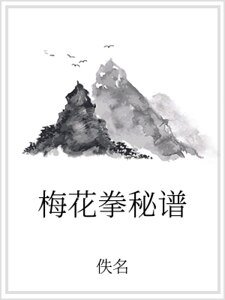 《梅花拳秘谱》