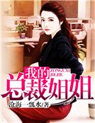 《我的总裁姐姐》