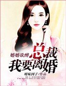 婚婚欲醉：總裁我要離婚