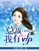 《超级大BOSS:总裁我有VIP》