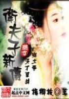 《卫子夫新传》