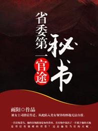 官途:省委第一秘书