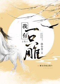 （综同人）[综]我有一只雕
