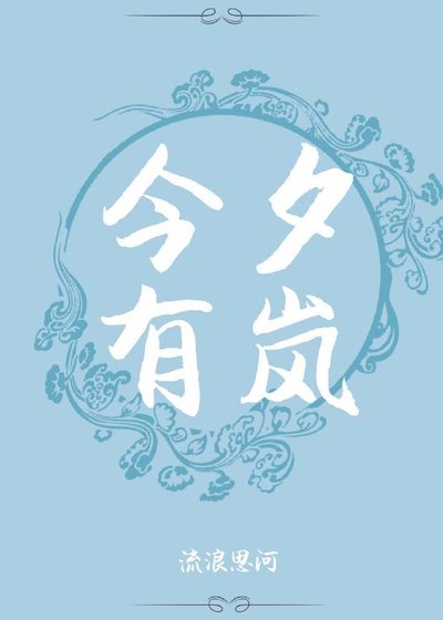 《今夕有岚》