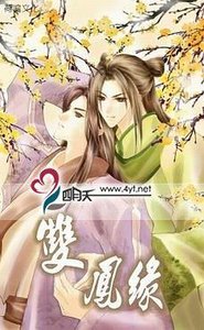 《双凤缘(出书版)》