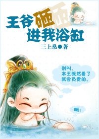 《王爷砸进我浴缸》