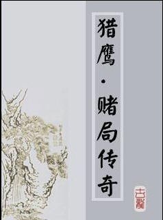 《赌局传奇/赌局系列》