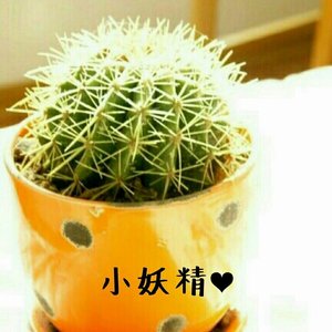 《小妖精》