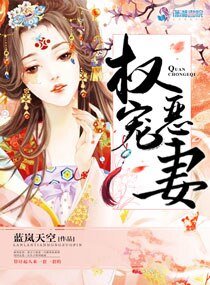 權寵惡妻