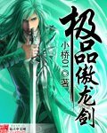 《极品傲龙剑》