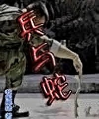 兵与蛇