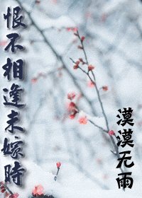 恨不相逢未嫁时(出书版)