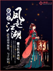 《穿越之凤起江湖》