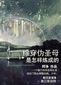 （綜同人）[綜穿]偽聖母是怎樣煉成的