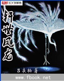 《轩世凤龙》