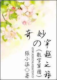 《(数字军团/综影视同人)奇妙的穿越之旅》