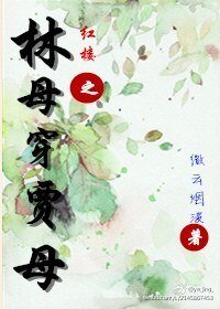 《(红楼同人)红楼之林母穿贾母》