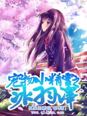 《(宠物小精灵同人)宠物小精灵之冰羽泽》