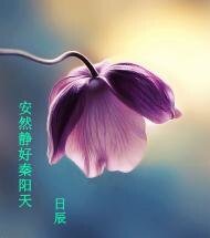 安然靜好秦陽天