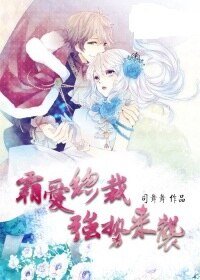 《霸爱总裁强势来袭/总裁老公追上门》