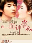 《溫柔總裁:一面鍾情》