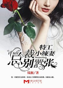 《特工小辣妻:wuli总裁别嚣张!》