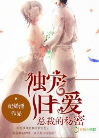 《倾城婚恋,首席的秘密》