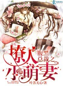 《腹黑总裁之撩人小萌妻》
