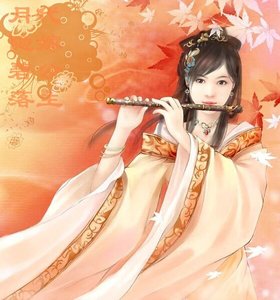 《代嫁公主-月隐碧落》