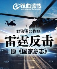 雷霆反击/国家意志