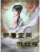 《带着空间游红楼》