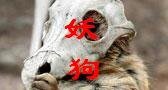 《妖狗》
