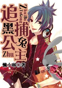 《(家教同人)追捕黑兔公主》