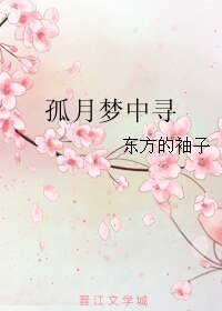 寻月/孤月梦中寻