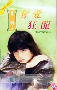 《夺爱狂龙(纵横四海之三)》