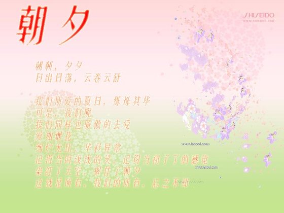 (网王同人)朝夕(网王之凤BG)