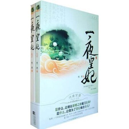 一夜皇妃(出书版)