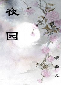 《夜园》