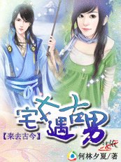 《来去古今:宅女遇见古男》