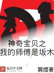 《神奇宝贝之我的师傅是坂木》