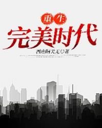 重生完美时代
