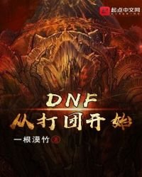 《DNF从打团开始》