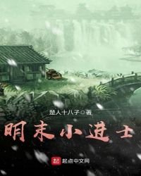 《明末小进士》
