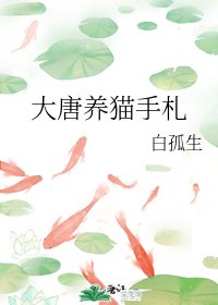 《大唐养猫手札》