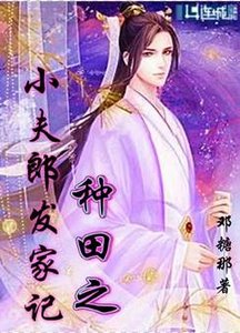 《种田之小夫郎发家记》