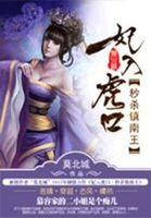 《妃入虎口:秒杀镇南王》